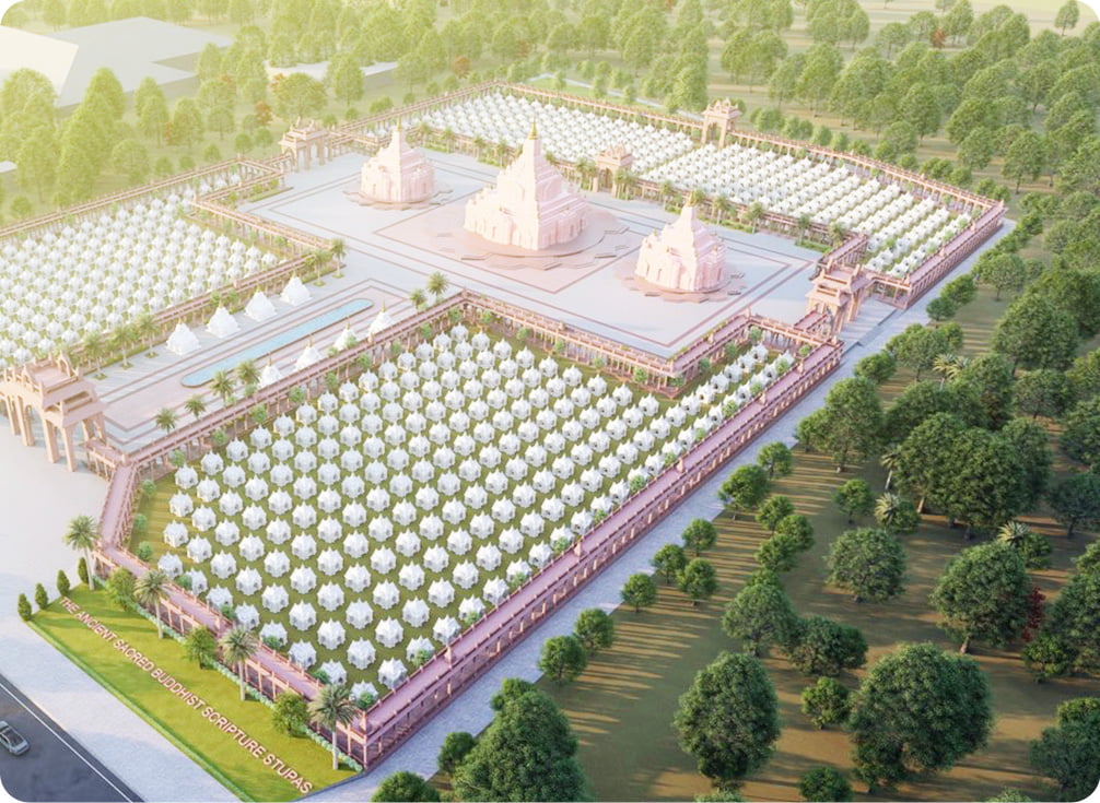 overview of the project site