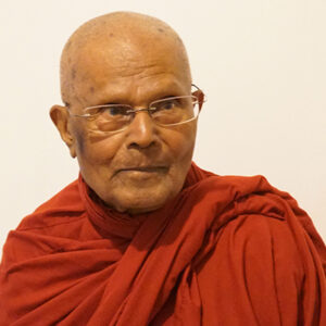 Most Venerable Bhante Henepola Gunaratana, Ph.D.
