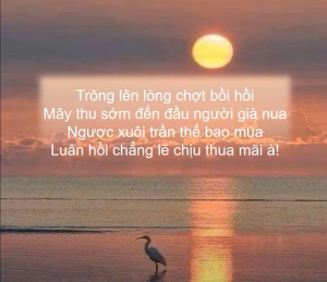 Luan Hoi Chiu Thua a