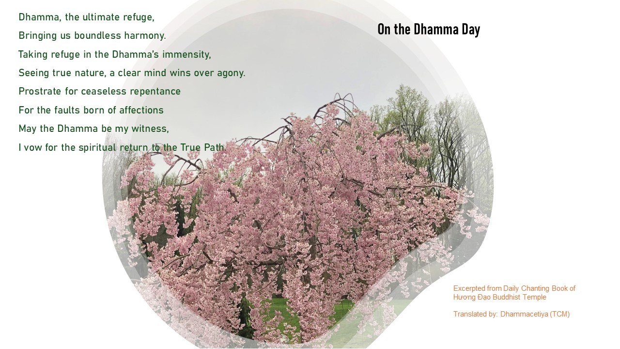 on the Dhamma Day