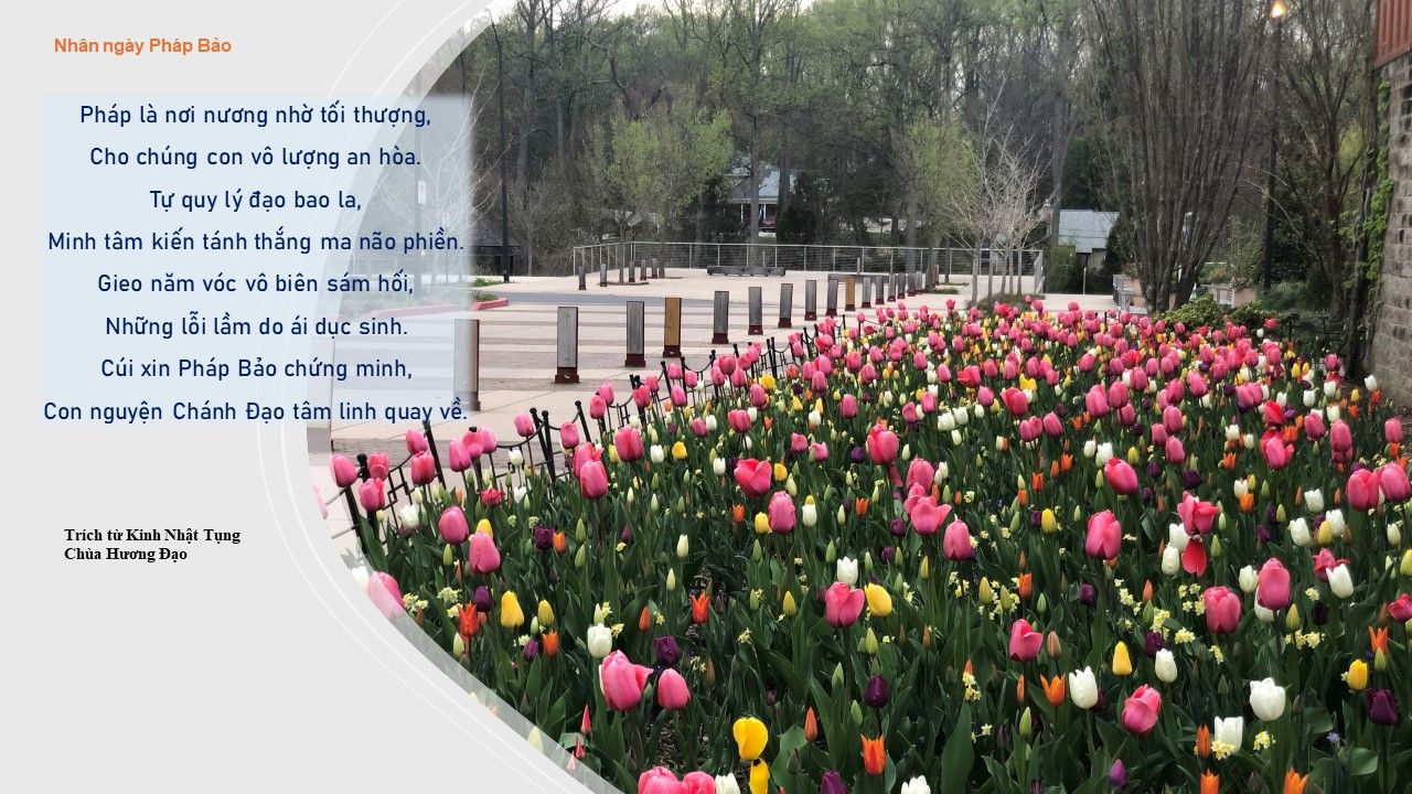 Nhân ngày Pháp Bảo