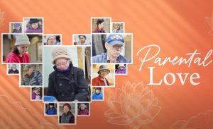 Parental Love 2024