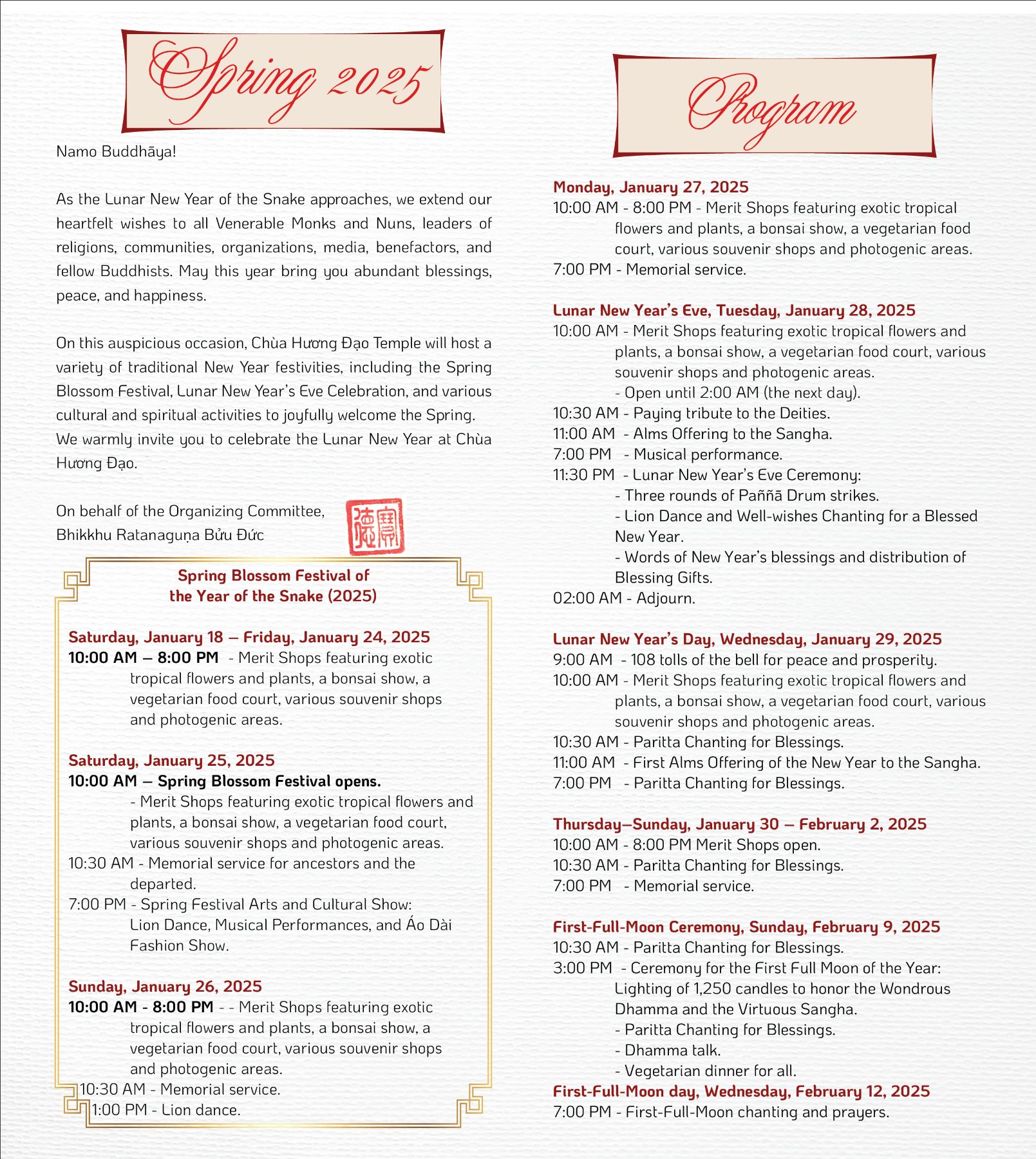 New year 2025 program 2