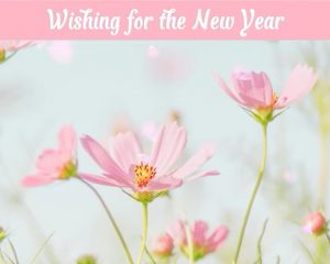 Wishing for new year 2025