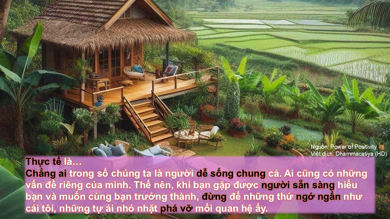 Thực tế là