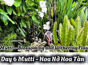 Mutti ngay 6 - Hoa no hoa tan