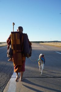 Walk for peace - Day 4