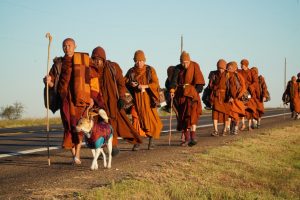 Walk for peace - Day 4