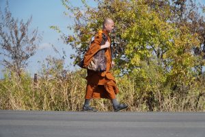 Walk for peace - Day 4