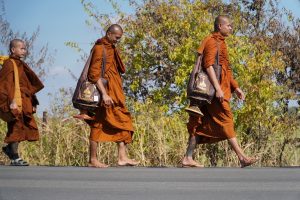 Walk for peace - Day 4