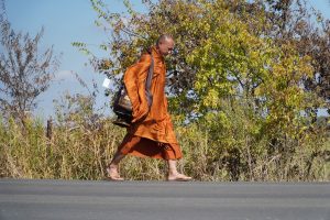 Walk for peace - Day 4