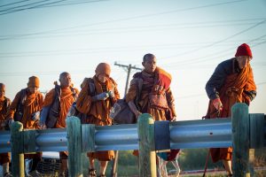 Walk for Peace - Day 10