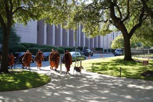 Walk for peace - day 11