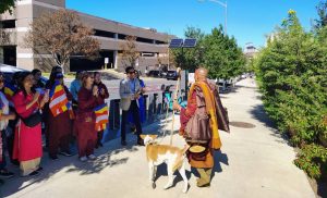 Walk for peace - day 11