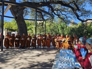 Walk for peace - day 11