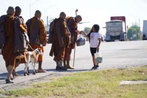 Walk for Peace - Day 13