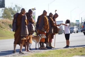 Walk for Peace - Day 13