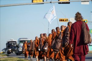 Walk for peace - day 14