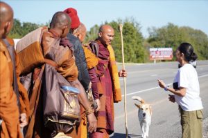 Walk for peace - day 14