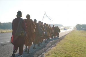 Walk for peace - day 14