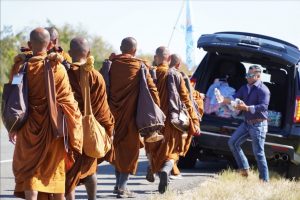 Walk for peace - day 14