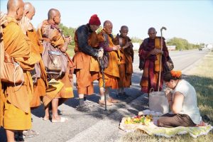 Walk for peace - day 14