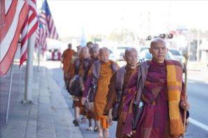 Walk for peace - day 14