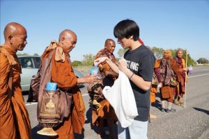 Walk for peace - day 14