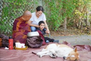 Walk for peace - day 14