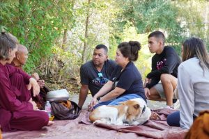 Walk for peace - day 14