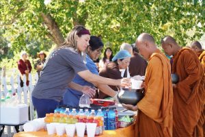 Walk for peace - day 14