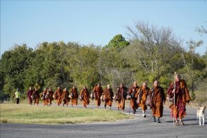 Walk for peace Day 2