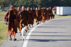 Walk for peace Day 2