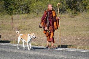 Walk for peace Day 2