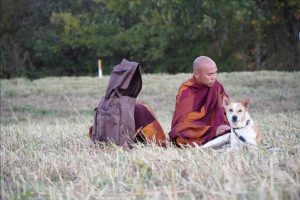 Walk for peace Day 2