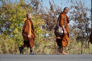 Walk for peace Day 2