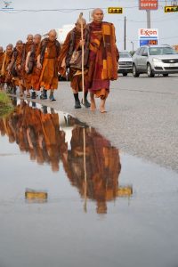 walk for peace -1st 30 days