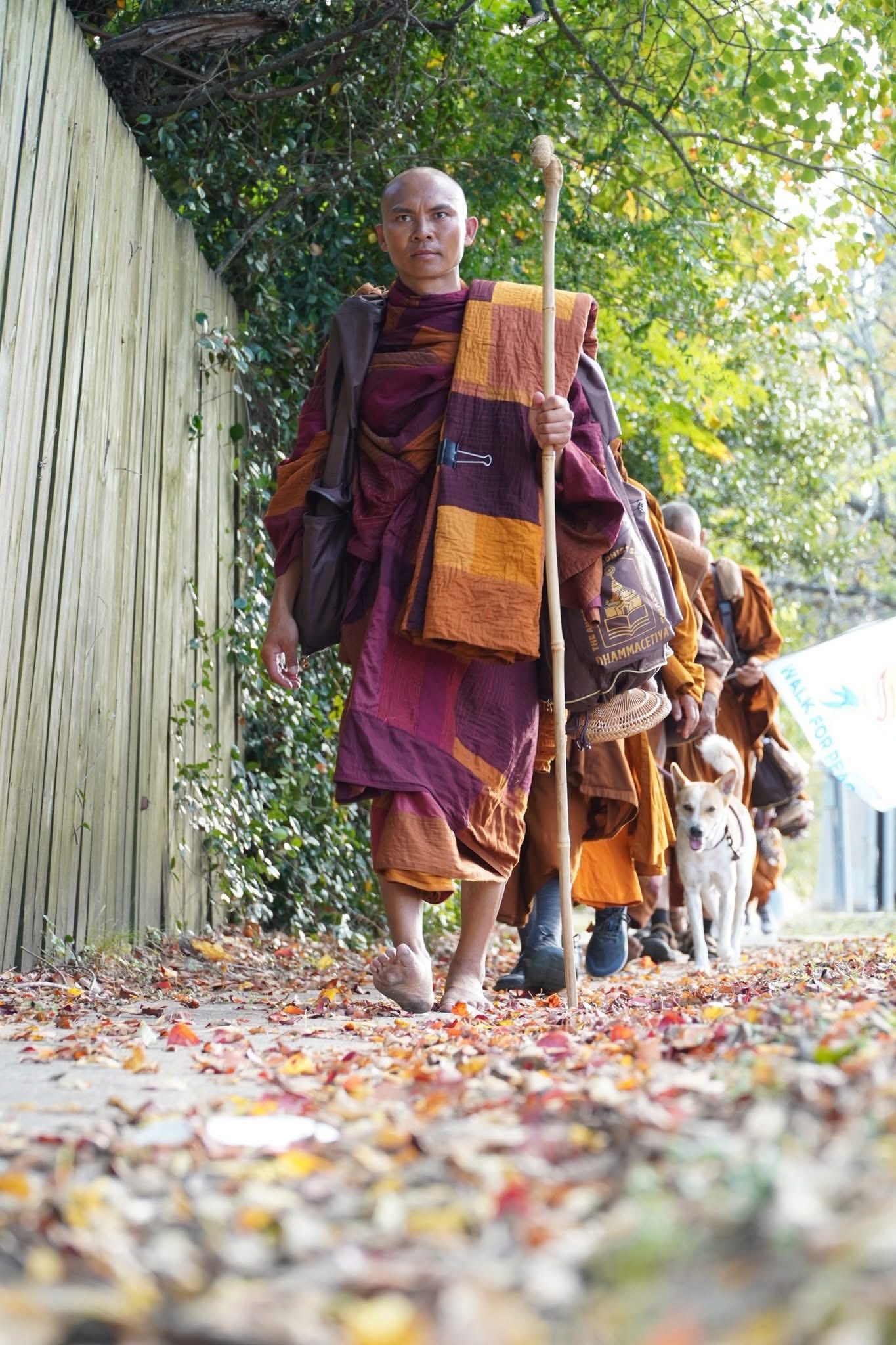 walk for peace -1st 30 days