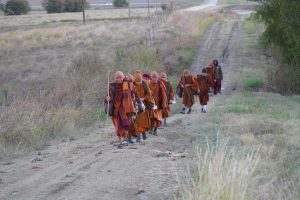 Walk for Peace - Day 3