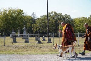 Walk for Peace - Day 3