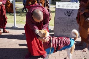 Walk for Peace - Day 3