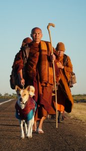 Walk for peace - Day 5