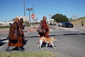 Walk for peace - Day 5