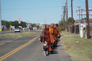 Walk for peace - Day 5
