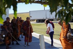 Walk for peace - Day 5