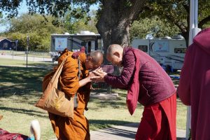 Walk for peace - Day 5