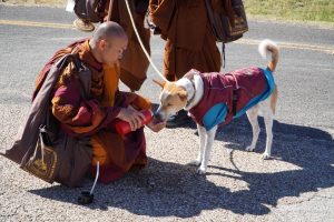 Walk for peace - Day 5