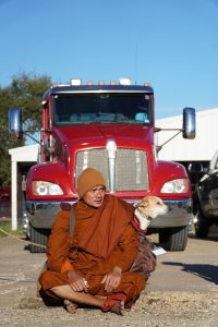 Walk for peace - Day 5