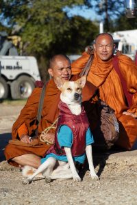 Walk for peace - Day 5