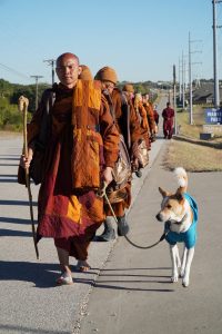 Walk for Peace - Day 6